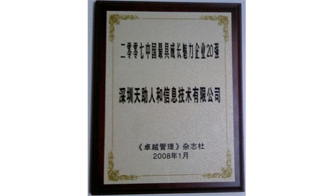 中國企業最具成長魅力企業20強